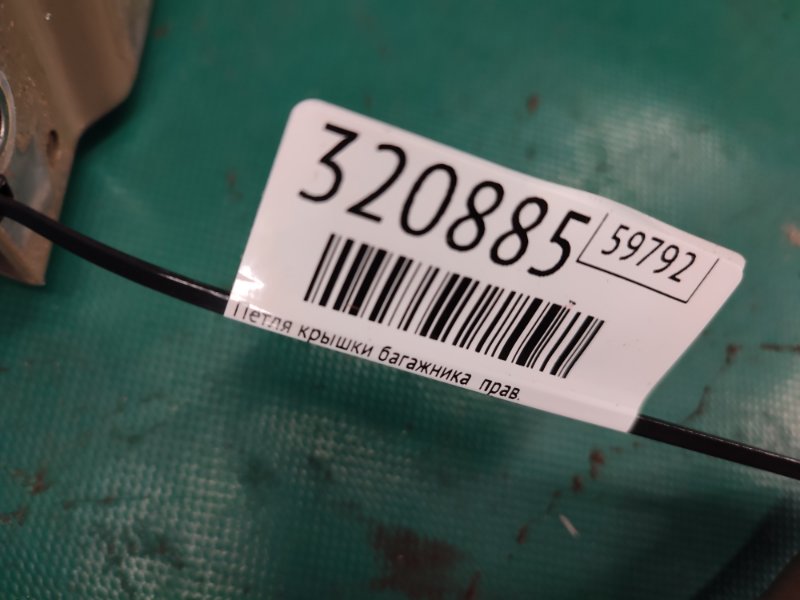 Петля крышки багажника задняя правая ELANTRA AD 16- 2019 2.0 G4NH