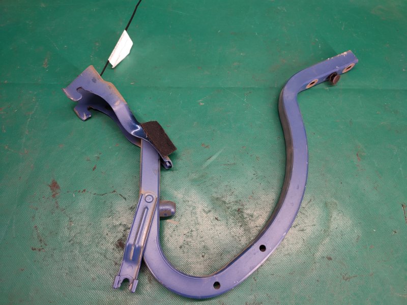 Петля крышки багажника задняя правая ELANTRA AD 16- 2019 2.0 G4NH