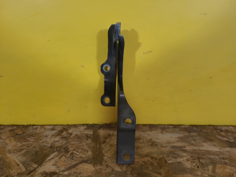 Петля капота левая KONA OS 17-23 Петля капота левая KONA OS 17-23