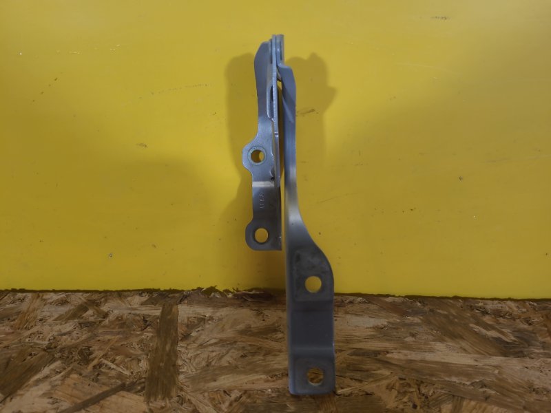 Петля капота левая KONA OS 17-23 Петля капота левая KONA OS 17-23