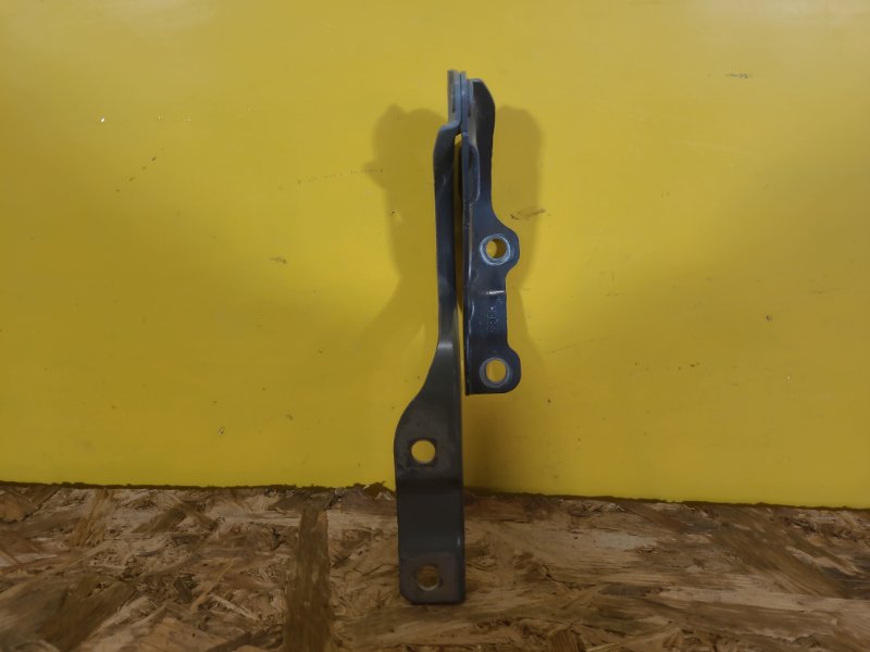 Петля капота правая KONA OS 17-23 Петля капота правая KONA OS 17-23