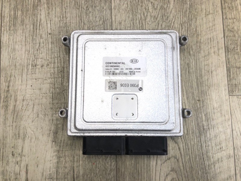 Блок управления двигателем FORTE BD 18-21 2019 2.0