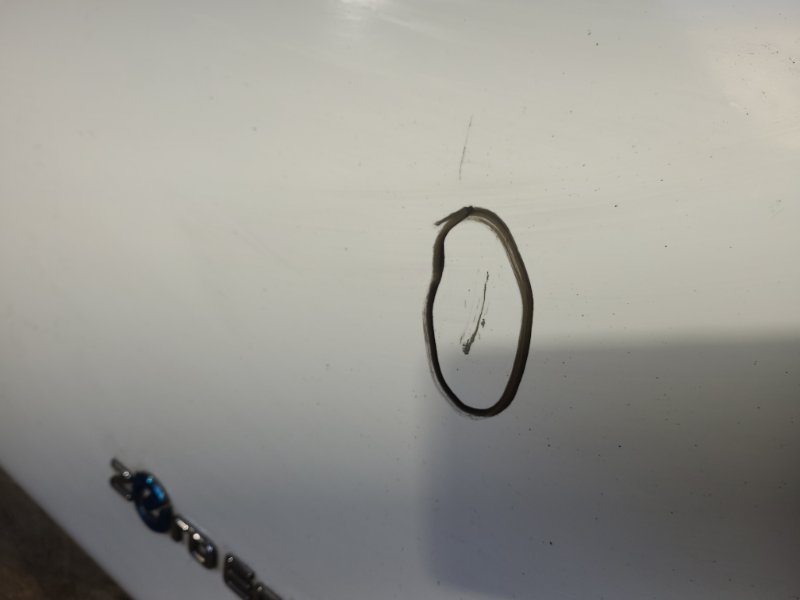 Дверь передняя правая LEAF 18-