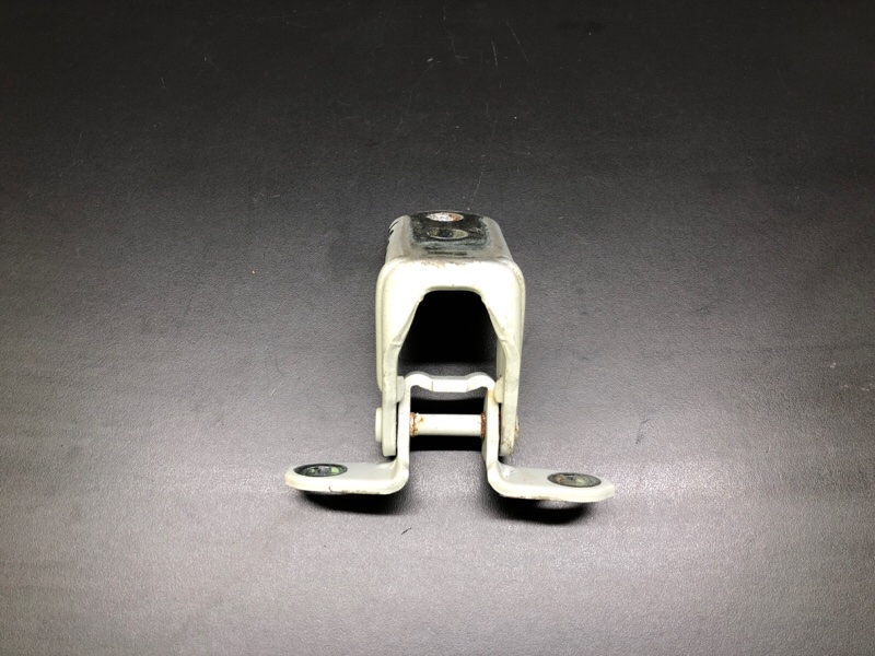 Петля двери нижняя задняя левая ALTIMA 19- 2019 L34 PR25DD