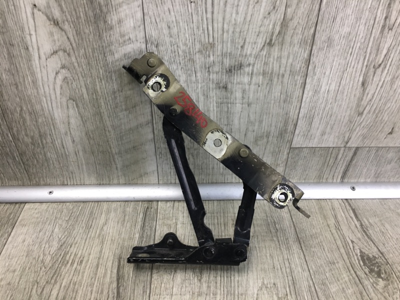 Петля крышки багажника левая GALANT 03-12 2010 Седан 2.4 4G69