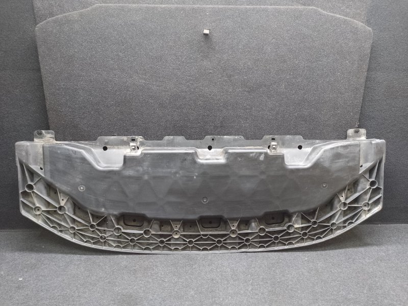 Защита переднего бампера LEAF 10-17