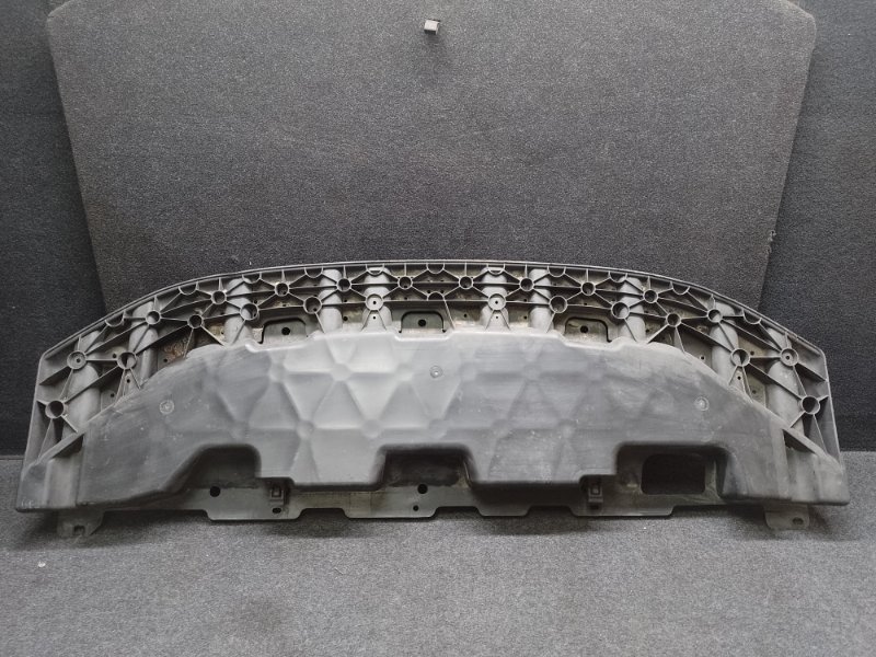 Защита переднего бампера LEAF 10-17