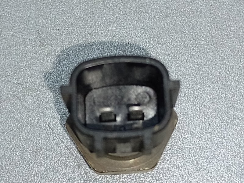 Датчик температуры охлаждающей жидкости LEAF 10-17