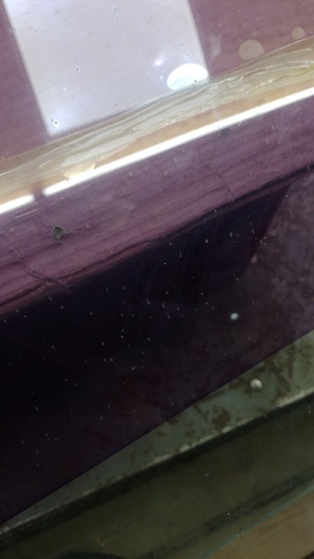 Стекло двери заднее левое LANCER X 10 07-15 Стекло двери заднее левое LANCER X 10 07-15