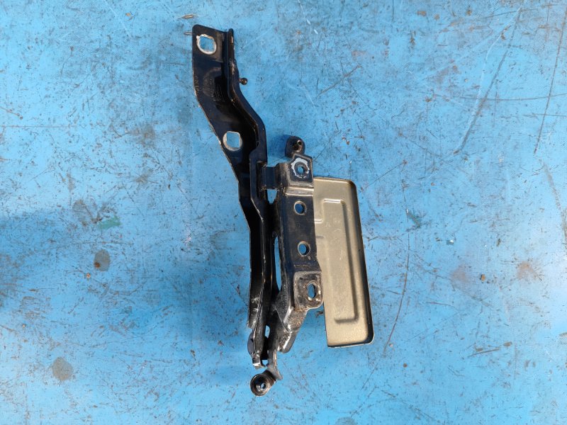 Петля капота левая FORD EXPEDITION 17- T35PDTD Петля капота левая FORD EXPEDITION 17- T35PDTD