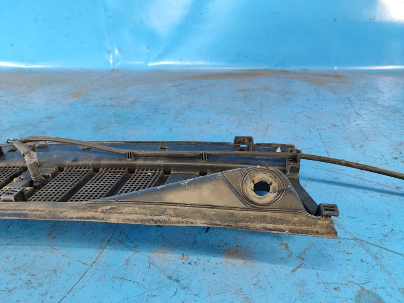 Пластик под лобовое стекло / Жабо EXPEDITION 17- 2018 T35PDTD