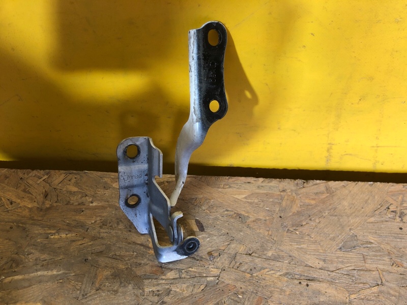 Петля капота левая CT200 17-