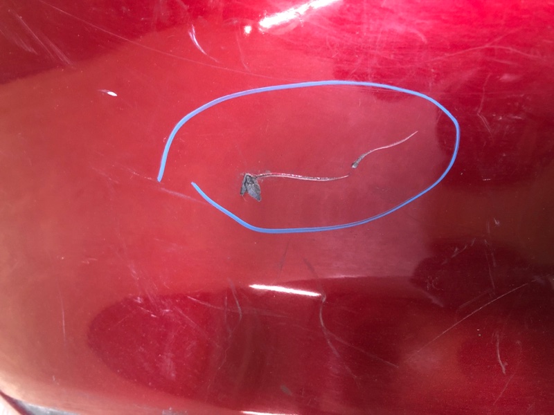 Бампер задний FUSION 14- 2016 CD4 C25HDEX