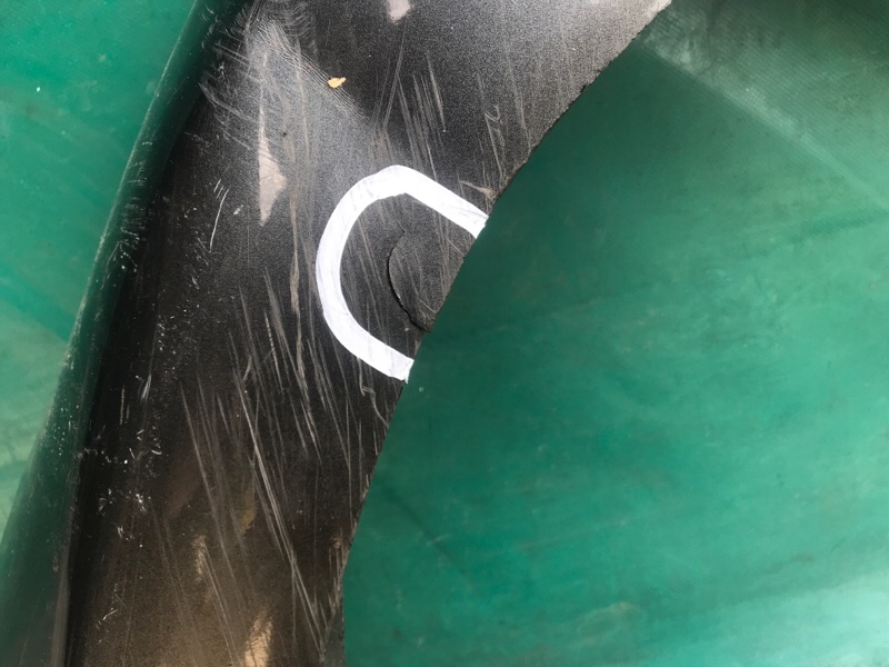 Накладка бампера задняя FUSION 14- 2016 C15HDTX