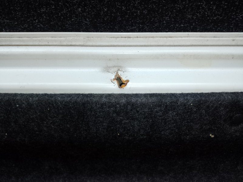 Крышка багажника CIVIC FC/FK 15- 2019 2.0L 4