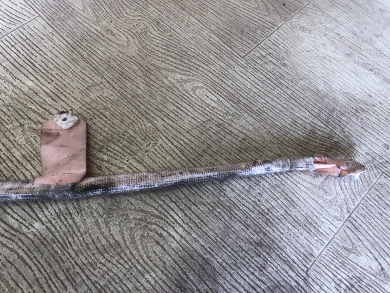 Подушка безопасности (штора) правая CAYENNE 07-10