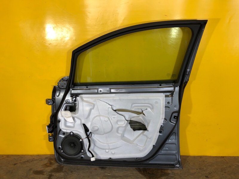 Дверь передняя правая LEAF 18-