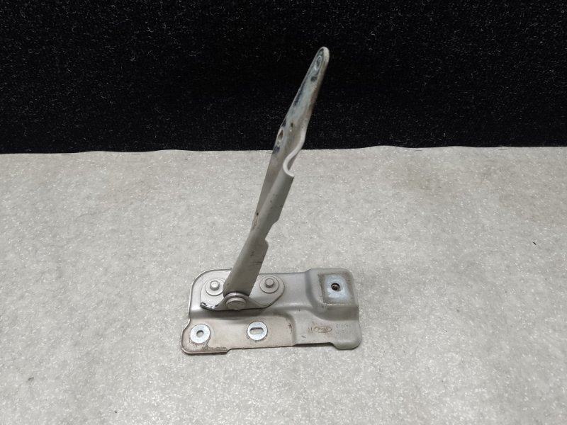 Петля капота правая FLEX 08-19 2013 T35PDED Петля капота правая FLEX 08-19 2013 T35PDED