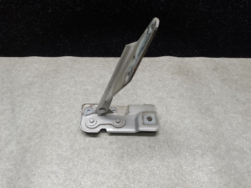 Петля капота левая FLEX 08-19 2013 T35PDED