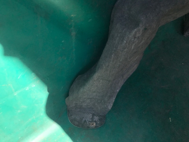 Подкрылок задний левый NISSAN X-TRAIL/ROGUE T32 13-20 2.5 QR25DE