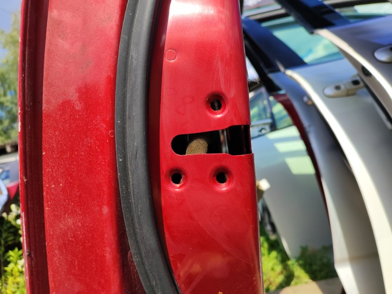 Дверь передняя левая LEAF 10-17