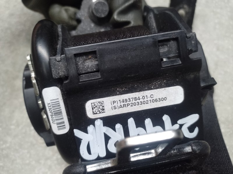 Ремень безопасности задний правый MODEL Y 19- 2021