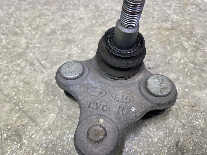 Шаровая опора передняя правая ELANTRA AD 16- 2016 2.0 G4NH