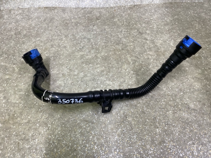 Разное ESCAPE 19 - 2020 C15FDOS