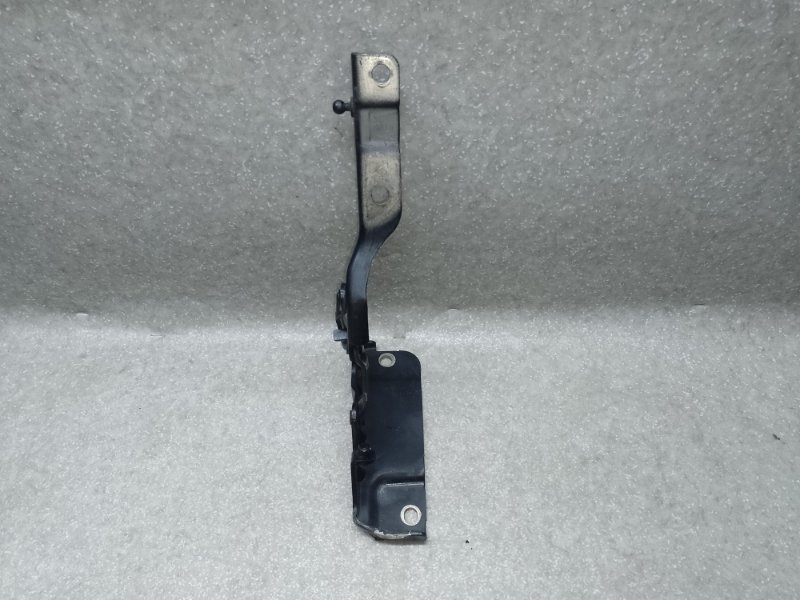 Петля капота левая SORENTO UM 14- 2017 2.4 G4KJ