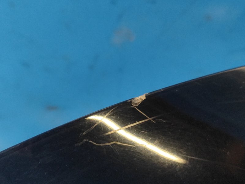 Фонарь наружный левый SOUL PS 13-19 2014 1.6 G4FD