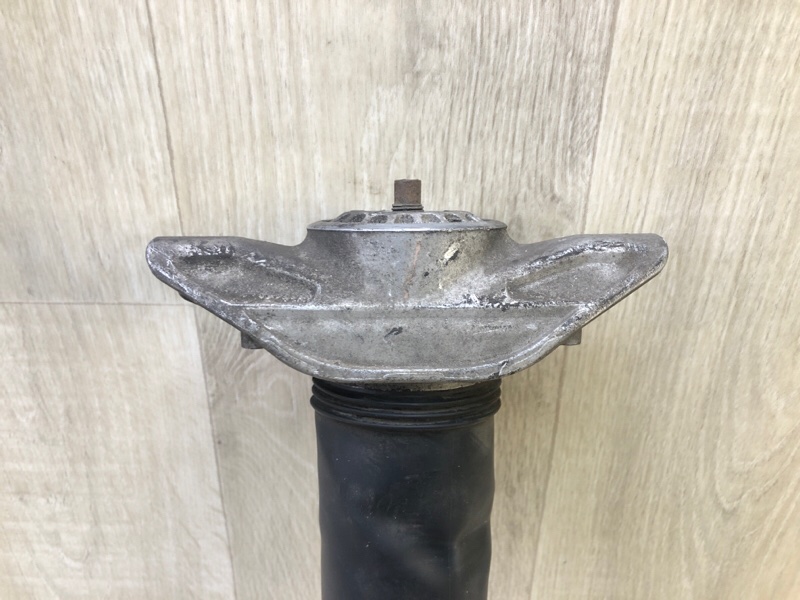 Амортизатор задний X-TRAIL/ROGUE T33 20- 2021 2.5 PR25DD