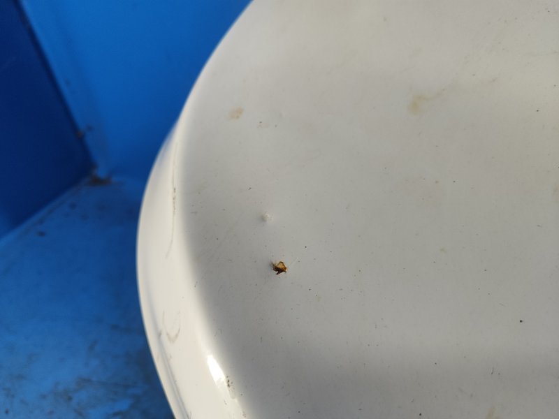 Крышка багажника ELANTRA MD 10-15