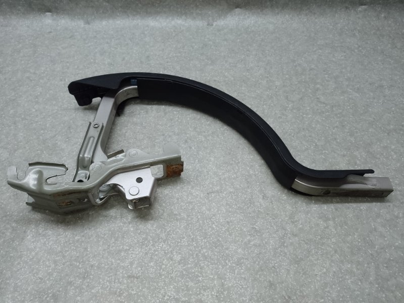 Петля крышки багажника левая ES350 06-12 2006 3.5 2GR-FE