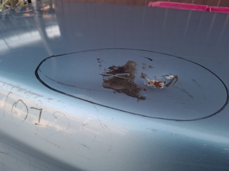 Крышка багажника AVALON 05-12 2007 GSX30 3.5 2GR-FE