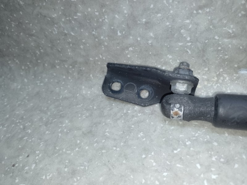 Амортизатор крышки багажника левый EQUINOX 04-09 2005 3.4 LNJ