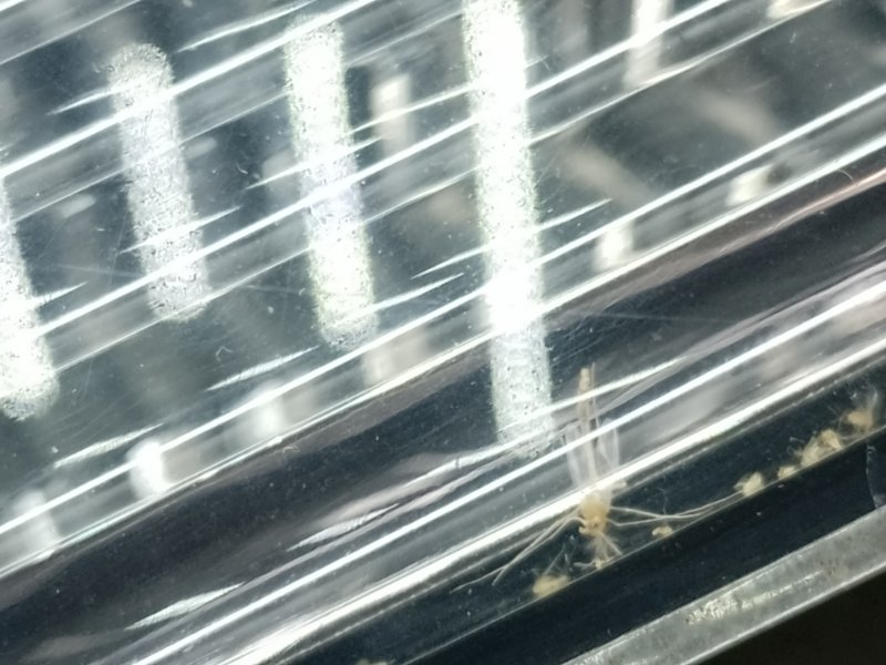 Фонарь внутренний левый OUTLANDER XL 05-13 2007 3.0 6B31