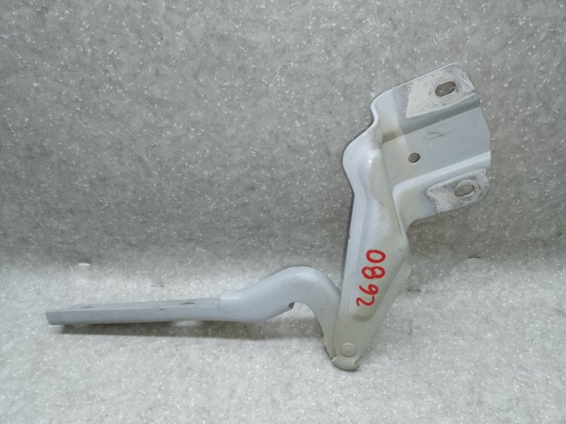 Петля капота правая VOLKSWAGEN JETTA USA 10-17 CBTA 2.5L