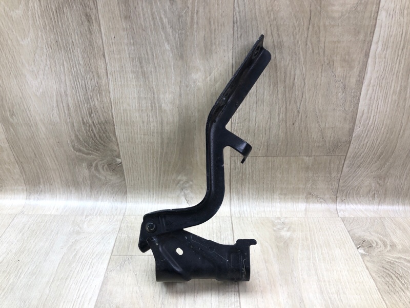 Петля капота левая PATHFINDER R52 12-21 2013 3.5 VQ35DE