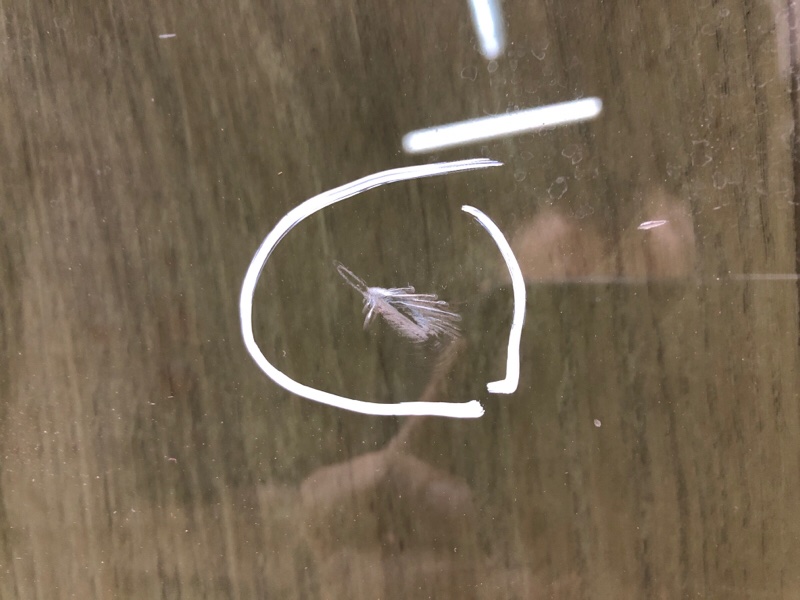 Стекло двери переднее правое ELANTRA MD 10-15 2014 1.8 G4NB