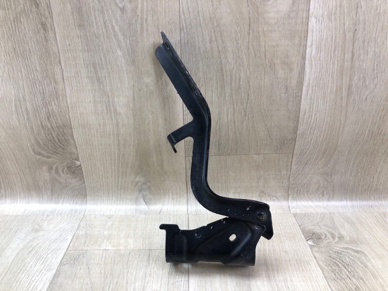 Петля капота правая NISSAN PATHFINDER R52 12-21 3.5 VQ35DE Петля капота правая NISSAN PATHFINDER R52 12-21 3.5 VQ35DE