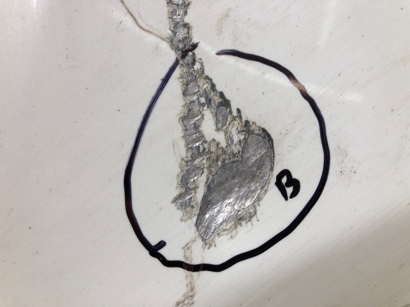 Капот PRIUS - 20 03-11 2008 1.5 1NZ-FXE Капот PRIUS - 20 03-11 2008 1.5 1NZ-FXE