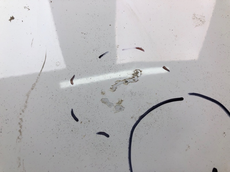 Капот ACCENT RB 10- 2014 1.6 G4FD