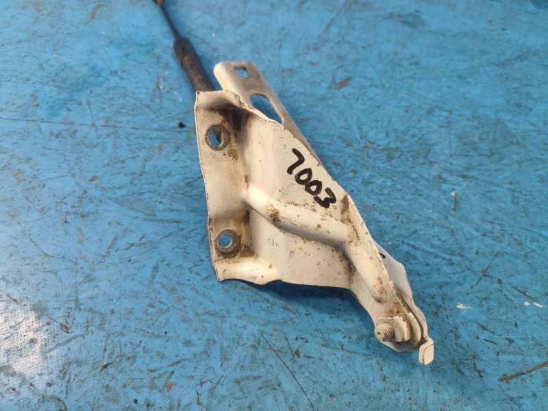 Петля капота левая Q5 08-16