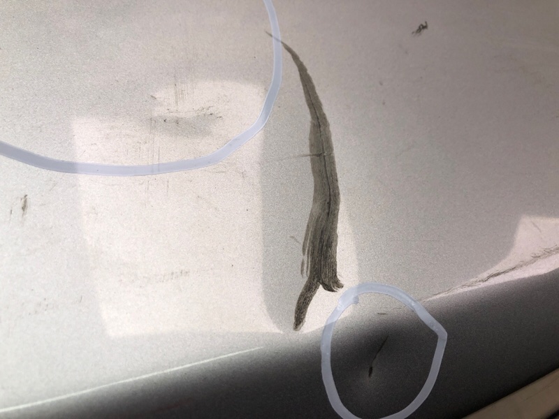 Крышка багажника GENESIS SEDAN 08-13 Крышка багажника GENESIS SEDAN 08-13