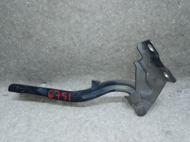 Петля капота правая OPTIMA TF 11-16 2013 2.0 G4KH Петля капота правая OPTIMA TF 11-16 2013 2.0 G4KH