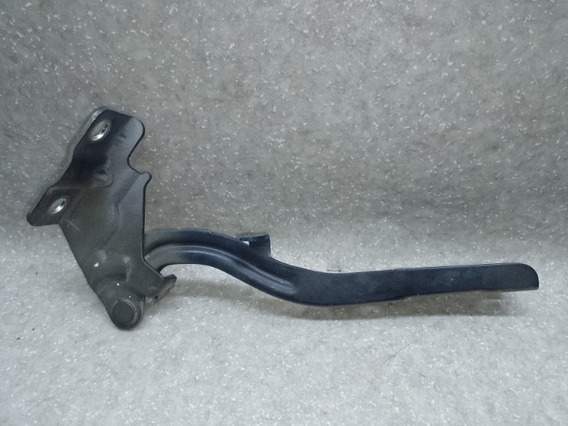 Петля капота левая OPTIMA TF 11-16 2013 2.0 G4KH Петля капота левая OPTIMA TF 11-16 2013 2.0 G4KH