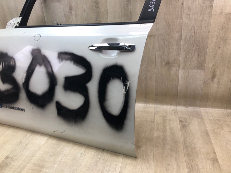 Дверь передняя левая LEAF 10-17 EM61