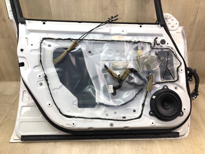 Дверь передняя левая LEAF 10-17 EM61