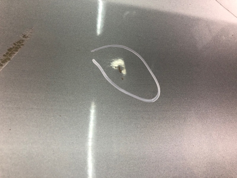 Дверь передняя левая SIENNA 11-16 2011 3.5 2GR-FE