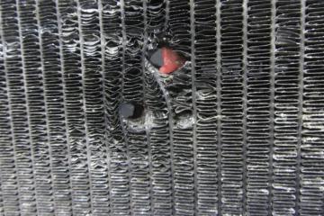 Радиатор основной TOYOTA RAV4 00-05